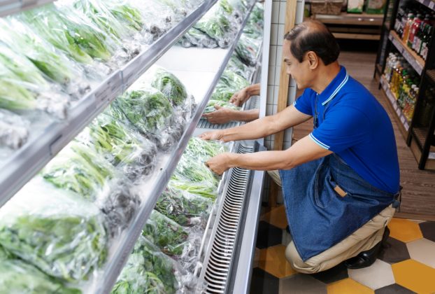 trabalhar com refrigeração comercial